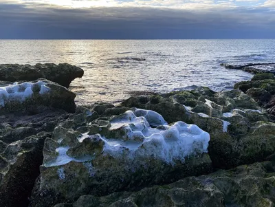 На море с ребенком: 6 фактов о пользе купания в морской воде