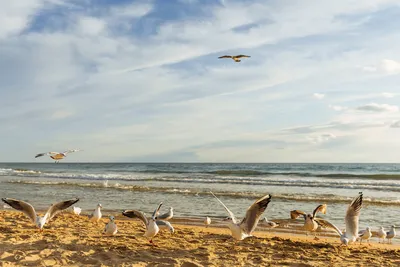 Пляжи Израиля| Топ-4 места для пляжного отдыха в Израиле| Маса Израиль