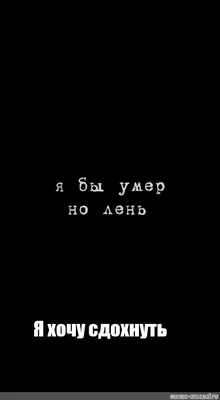 ⠀ Ни взгляд, ни голос не проймут ничьи: нектар и деготь, сахар и горчица…  Вокруг — одни врачи и палачи. Я не хочу ни сдохнуть, ни… | Instagram