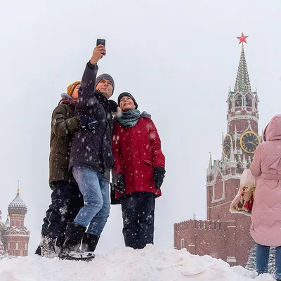 Укрытие туи на зиму.