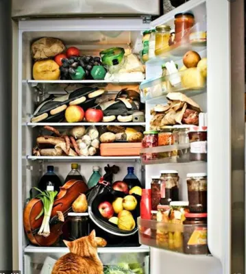 Скачать фото Холодильника с едой в формате JPG, PNG, WebP
