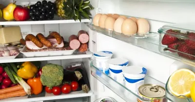 HD фотография холодильника с едой для скачивания