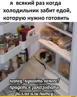 HD фотк холодильника с едой