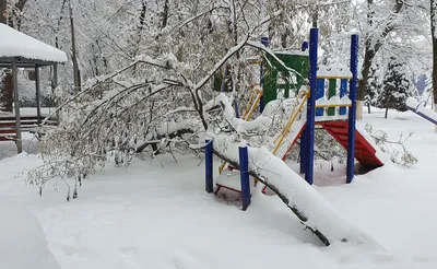 Холодная зима в древесинах стоковое фото. изображение насчитывающей  ландшафт - 134316610