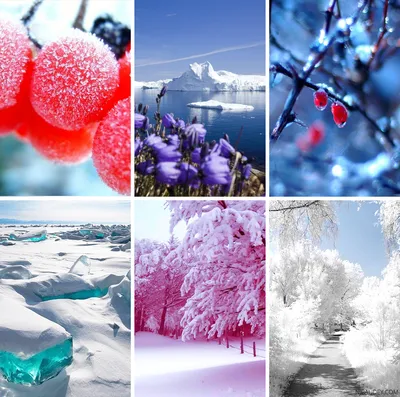 Холодная зима, снежное поле и деревья Стоковое Фото - изображение  насчитывающей вал, заморозок: 152961816