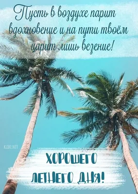 Доброе утро☀️ Всем хорошего дня ☀️ #доброеутро #утро #отдыхнадаче  #дачныйотдых #утронаморе #ресторансвидомнаморе #балтийскоеморе #балтика… |  Instagram