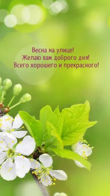 Открытки хорошего весеннего дня