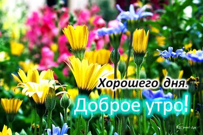 открытки красивые с первым днём весны: 26 тыс изображений найдено в  Яндекс.Картинках | Весна, Картинки, Открытки