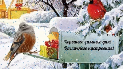 Красивые зимние открытки \"Хорошего Дня!\" (354 шт.)