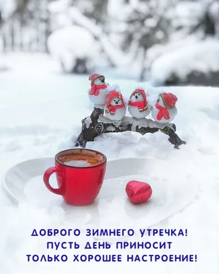 скачать видео приветствие и пожелания доброго зимнего утра и хорошего дня｜Поиск  в TikTok