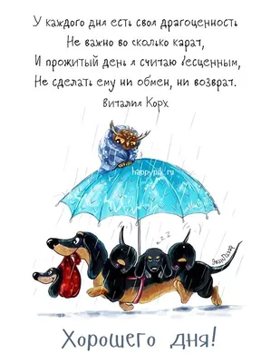 💌☀️😄 Картинки Хорошего дня - скачать (226 шт.)