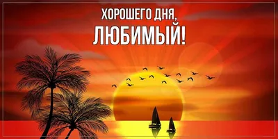 Картинки \"С Добрым Утром, Любимый!\" (257 шт.)