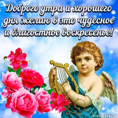 Новая открытка с воскресеньем, хорошего отдыха - GreetCard.ru