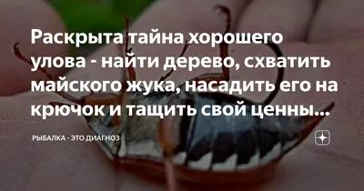 С Днем рыбака 2023: картинки и открытки с пожеланиями богатого улова - МК  Волгоград