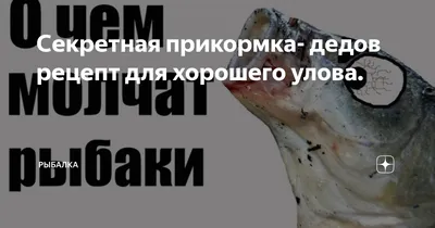 Июнь подарит рыбакам Ленобласти благоприятные дни для хорошего улова |  02.06.2021 | ЛенОбласть - БезФормата