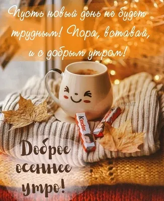 Доброго утра и хорошего настроения на весь день! — Скачайте на Davno.ru