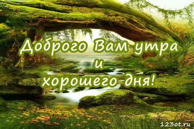 С добрым утром,друзья! 😊 Хорошего вам дня! Побольше улыбайтесь!☺ С любовью  ваш \"SISHI mix\" ❤.. | ВКонтакте