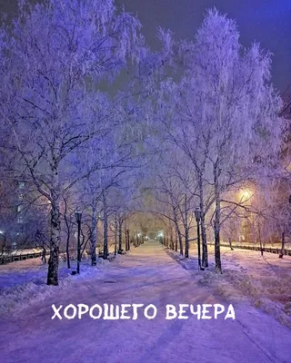 Красивые картинки \"Доброго зимнего вечера!\" (298 шт.)