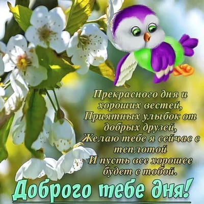 Доброго утра, хорошего весеннего дня!💐 | Открытки на все случаи жизни |  ВКонтакте