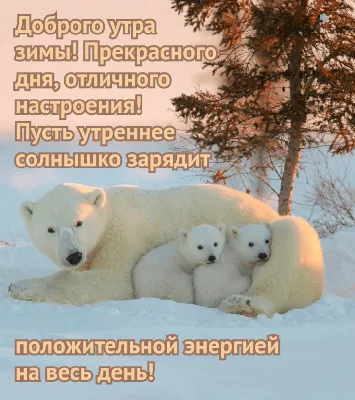 Зимние открытки \"Доброго дня!\" (245 шт.)