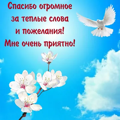 Кружка с надписью \"Пасха наша, Христос, заклан за нас\" красн. христианские  кружки - интернет-магазин Христофор