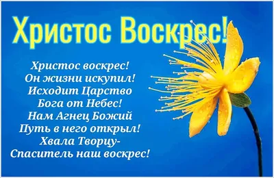 Пин от пользователя Светлана на доске Христианские праздники | Праздник,  Пасхальные открытки, Цветы день рождения