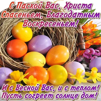 Поздравляем всех христиан со Светлой Пасхой! - Скачайте на Davno.ru