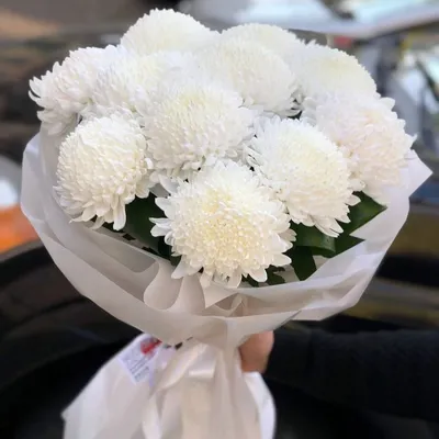 Купить Букет «осенний шарм» из хризантемы с эвкалиптом с доставкой по  Томску: цена, фото, отзывы.