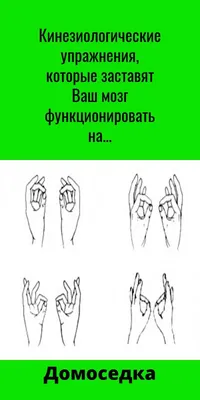 Пальчиковые кинезиологические упражнения («гимнастика мозга») (2 фото).  Воспитателям детских садов, школьным учителям и педагогам - Маам.ру