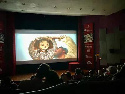 В Екатеринбурге начнут работать кинотеатры под открытым небом | Областная  газета