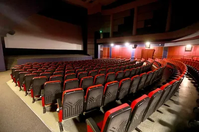 В Мариуполе открылся первый после освобождения города кинотеатр - Общество  - ДАН