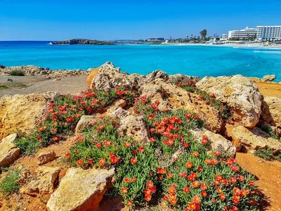 Главные курорты на Северном Кипре