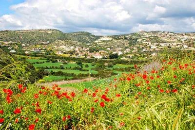 Зима на Кипре заканчивается, и наступает пора красоты, свежести и тепла.  Погода на Кипре весной: цветение и солнечные дни.