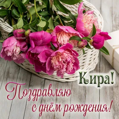 Кира С Днем Рождения Картинки фотографии