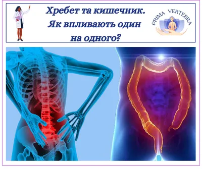 Синдром раздраженного кишечника: клиническая картина и лечение | МДЦ  «Олимп» в Москве