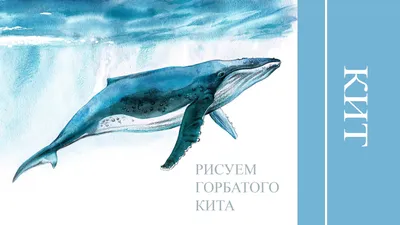 Кит из дерева на стену Голубой синий кит деревянный в интернет-магазине  Ярмарка Мастеров по цене 1690 ₽ – N798WBY | Подвески, Псков - доставка по  России
