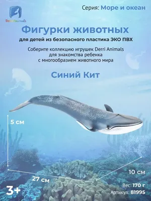 Как живёт синий кит: несколько особенностей из жизни крупнейшего усатого  кита | Пикабу