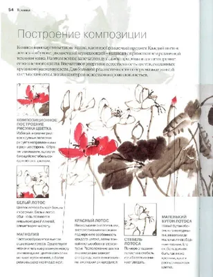 Рисунок «Китайская прачечная» - Советская графика купить в Москве |  rus-gal.ru