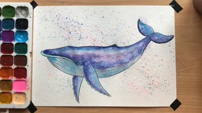 Маленький кит рисунок - 66 фото