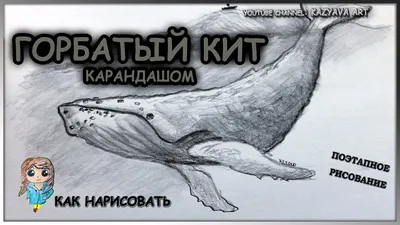 Как нарисовать СИНЕГО КИТА урок рисования от РыбаКит - YouTube