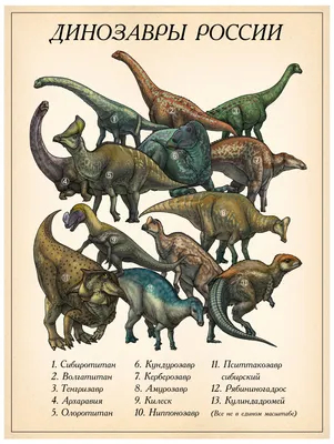 Различные Типы Динозавров Именами Иллюстраций Векторное изображение  ©blueringmedia 563474040