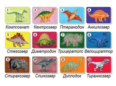 Типы динозавров: истории из жизни, советы, новости, юмор и картинки — Все  посты | Пикабу
