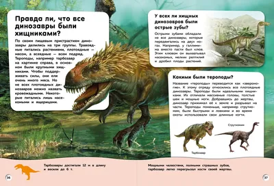 Самые популярные виды динозавров | кирилл кусюкбаев | Дзен