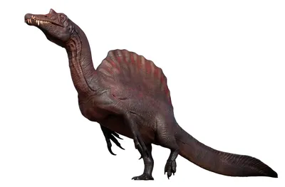 Типы динозавров иллюстрация вектора. иллюстрации насчитывающей рекс -  95318153