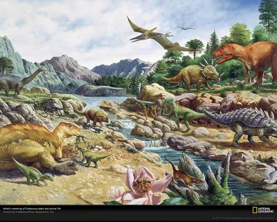 Картинки виды динозавров с названиями (39 лучших фото)