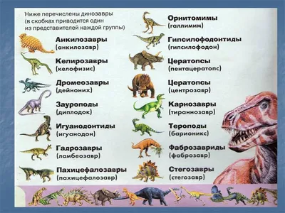 Картинки виды динозавров с названиями (28 фото) • Прикольные картинки и  юмор | Динозавр, Картинки, Динозавры