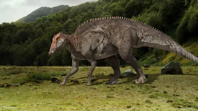 Тираннозавр | Вымершие животные вики | Fandom