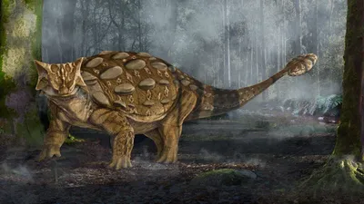 20 самых популярных динозавров (с картинками) | Пикабу