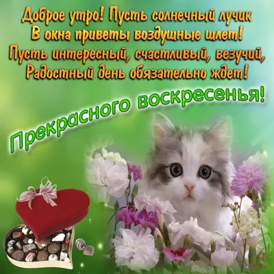 Открытка удачного воскресенья - GreetCard.ru