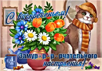 Трогательная открытка \"С Добрым утром! Прекрасного Воскресенья!\" • Аудио от  Путина, голосовые, музыкальные